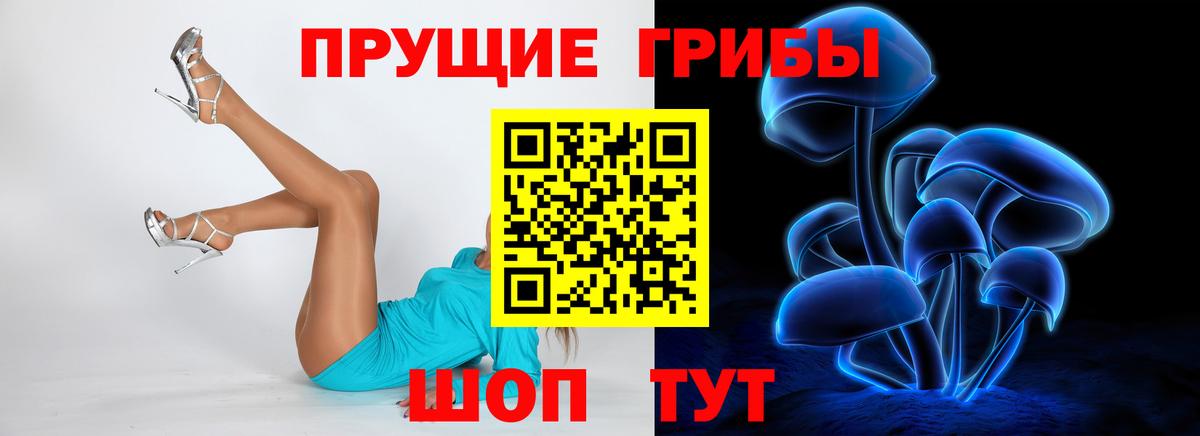 Кемерово  Псилоцибиновые грибы ЛСД  Вход с VPN  Галлюциногенные грибы мицелий 
